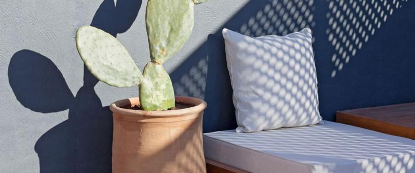 Dar Les Sirenes Hotell Essaouira Exteriör bild